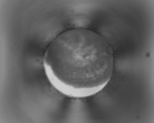 X0000113280419200909211044