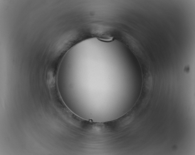 X0000113280420200909211044