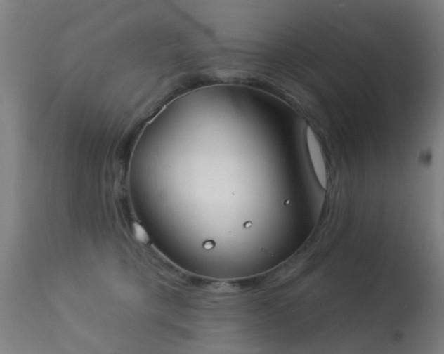 X0000113280421200909211044