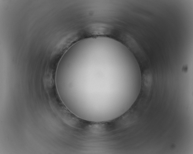 X0000113280422200909211044