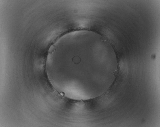 X0000113280423200909211044