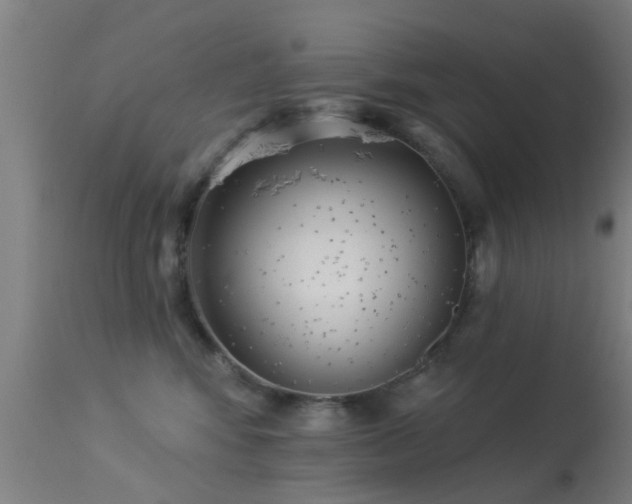 X0000113280424200909211044