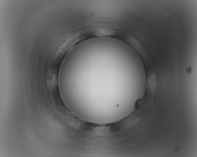 X0000113280426200909211044