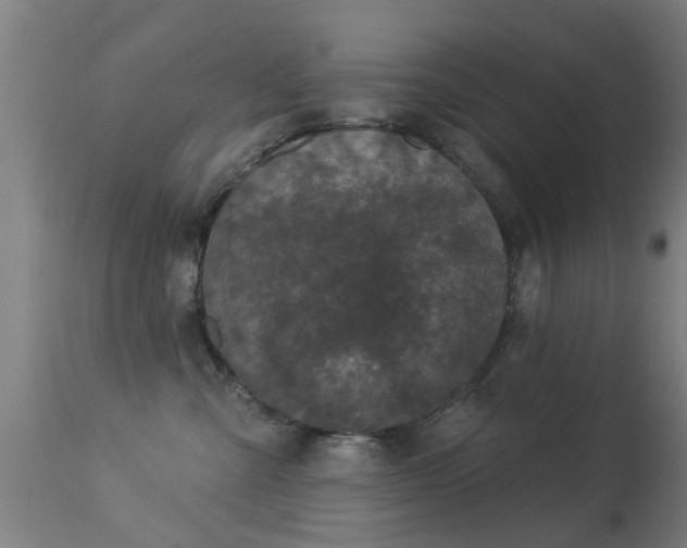 X0000113280427200909211044