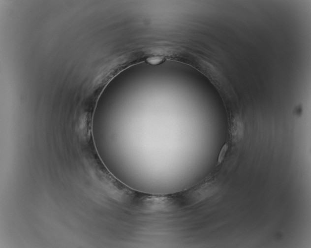 X0000113280428200909211044