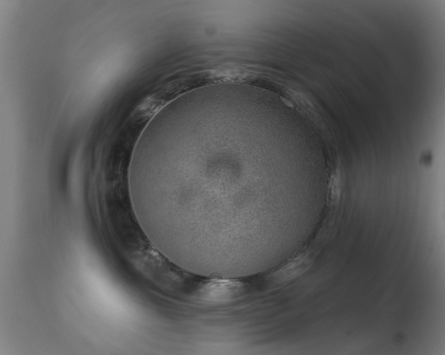 X0000113280429200909211044