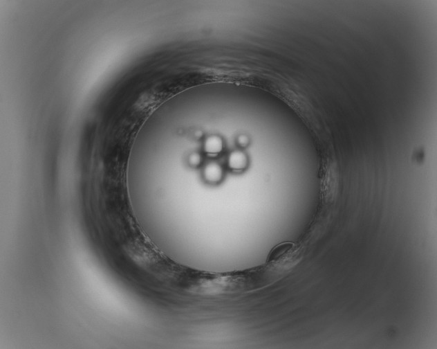 X0000113280430200909211044