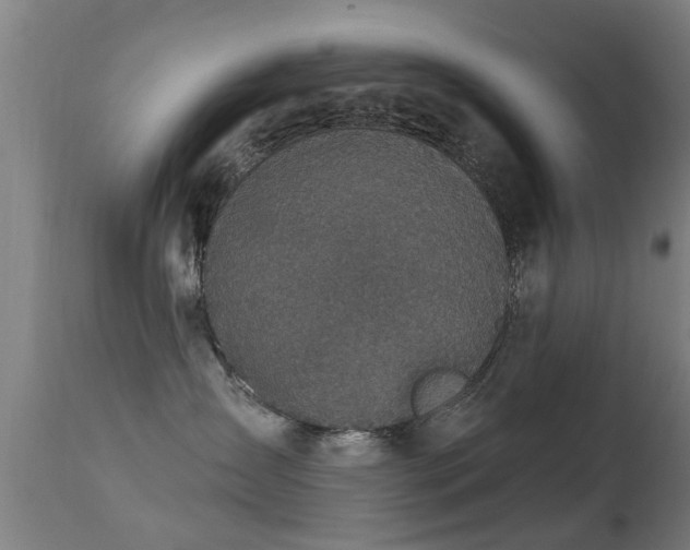 X0000113280431200909211044