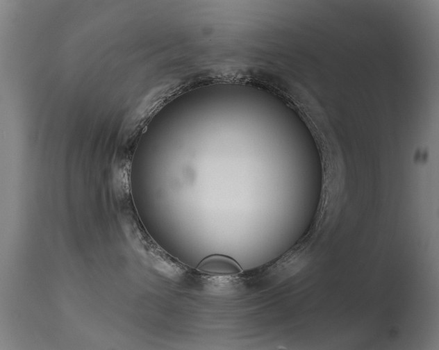 X0000113280432200909211044