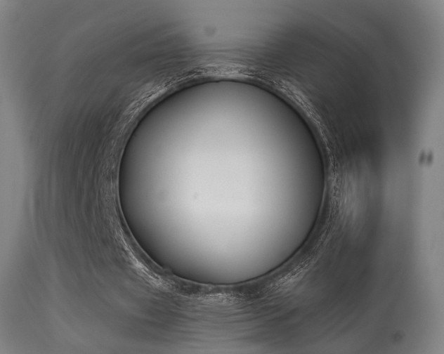 X0000113280433200909211043