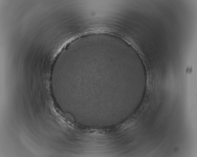 X0000113280434200909211043