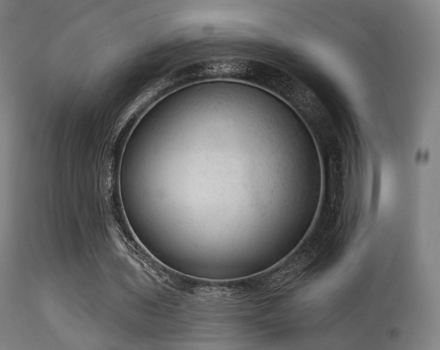 X0000113280435200909211043