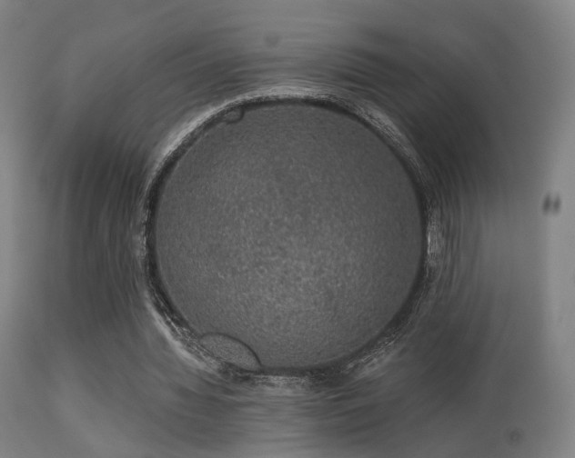 X0000113280436200909211043