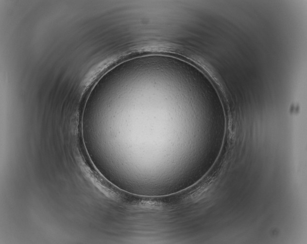 X0000113280437200909211043