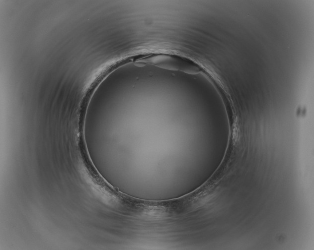 X0000113280438200909211043