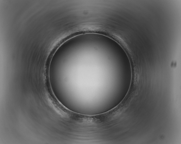 X0000113280439200909211043