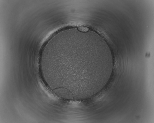 X0000113280440200909211043