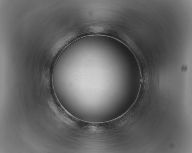 X0000113280442200909211043