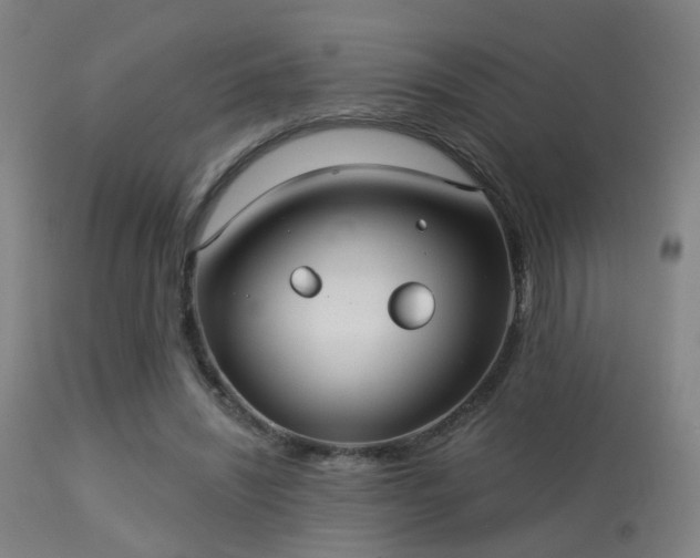 X0000113280444200909211043