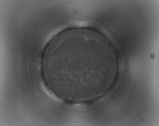 X0000113280447200909211043