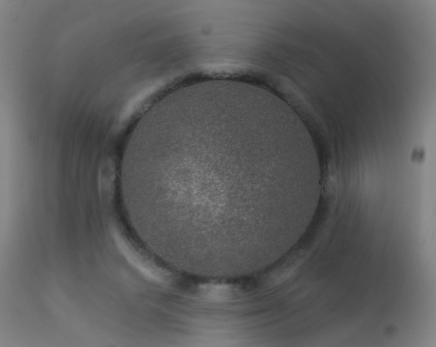 X0000113280448200909211043