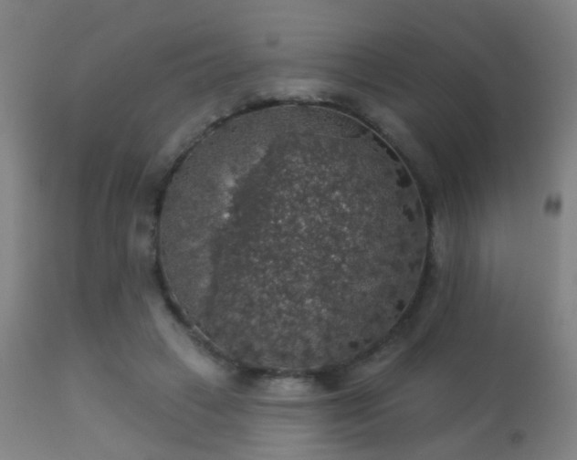 X0000113280449200909211043