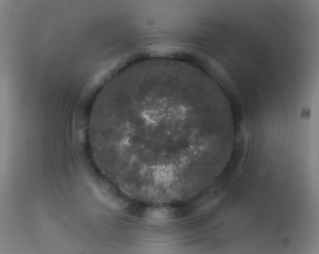 X0000113280452200909211043