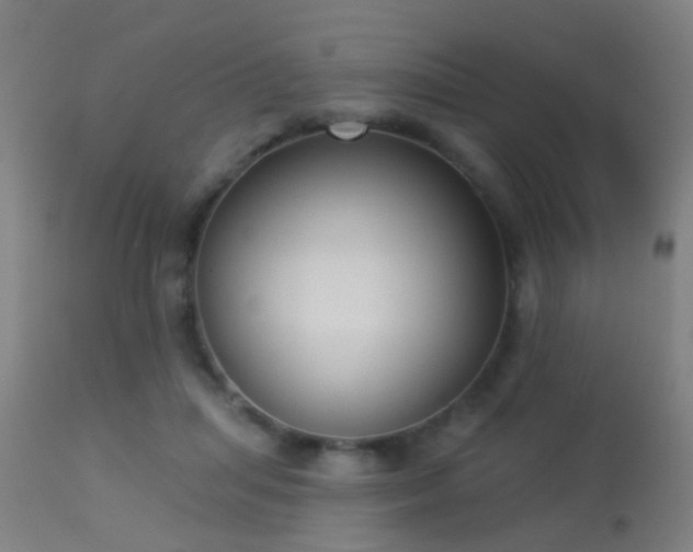 X0000113280455200909211043