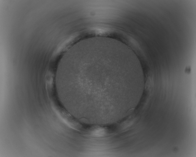 X0000113280456200909211043