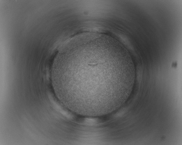 X0000113280457200909211043