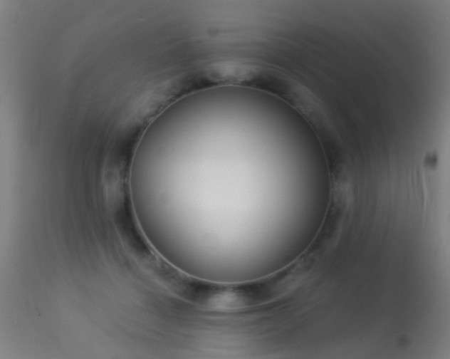 X0000113280460200909211043