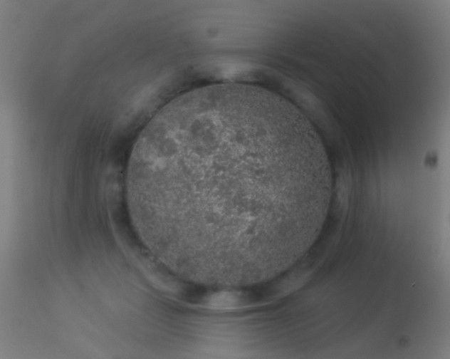 X0000113280461200909211043