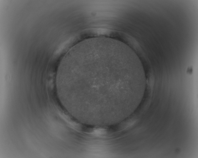 X0000113280462200909211043