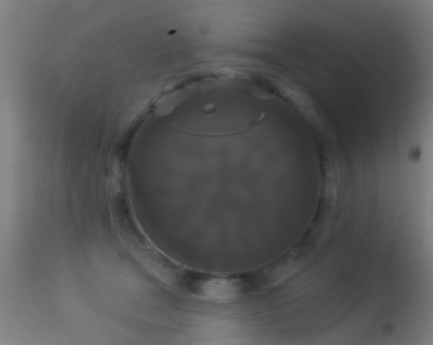 X0000113280465200909211043