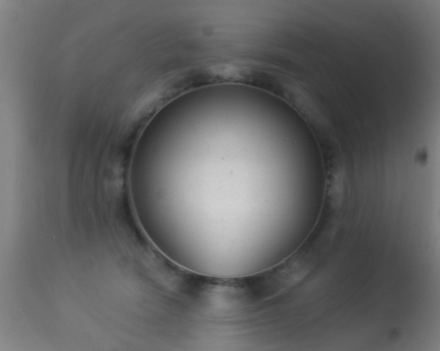 X0000113280466200909211043