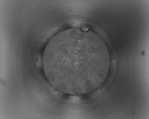 X0000113280469200909211043