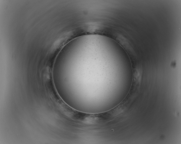 X0000113280470200909211043