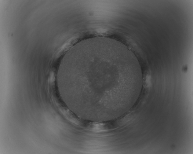 X0000113280472200909211044