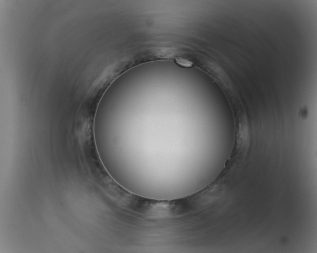 X0000113280473200909211044