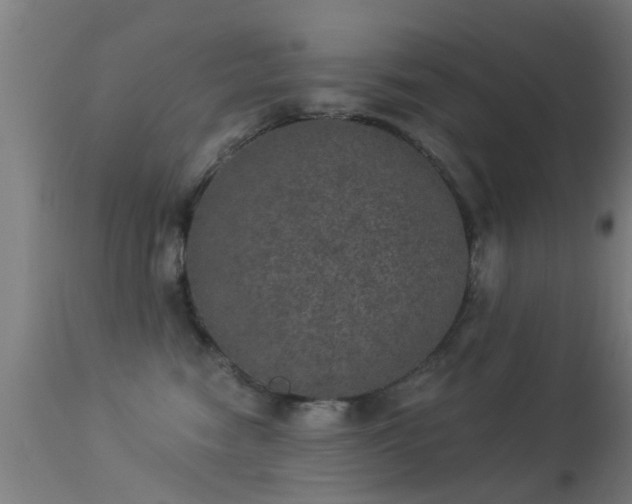 X0000113280474200909211044