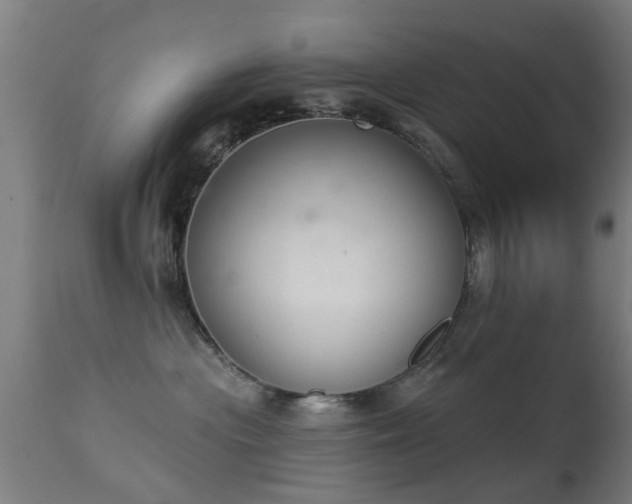 X0000113280477200909211044