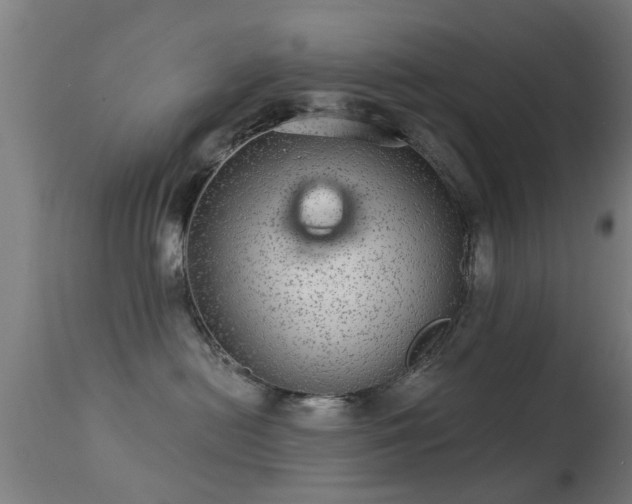 X0000113280478200909211044