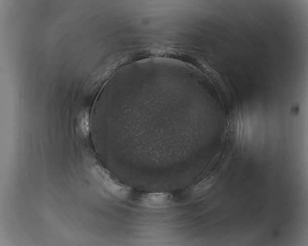 X0000113280479200909211044