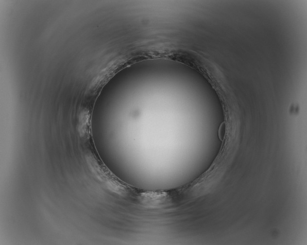 X0000113280480200909211044