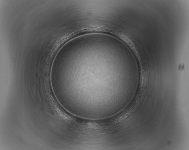 X0000113280481200909211043