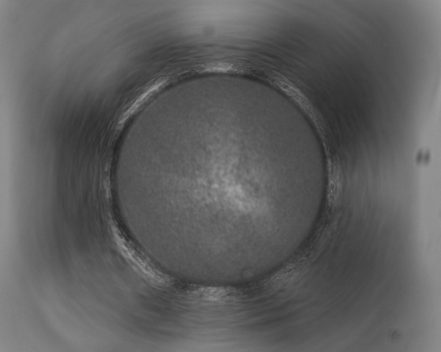 X0000113280482200909211043