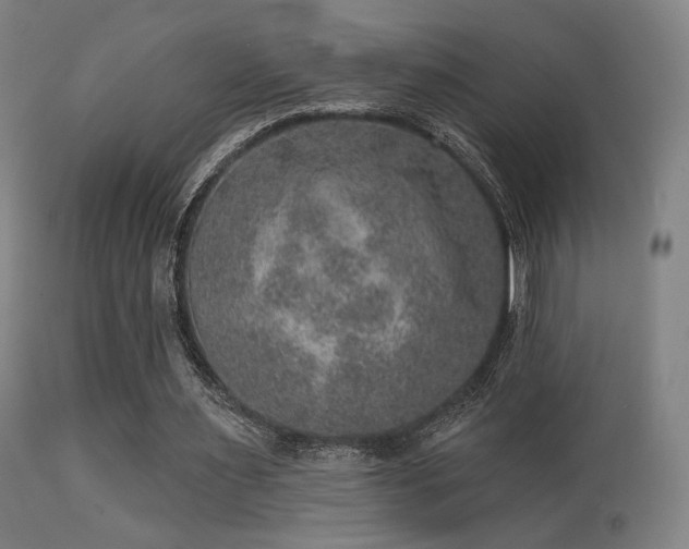 X0000113280483200909211043