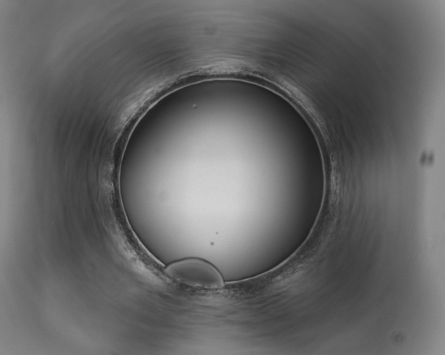 X0000113280485200909211043