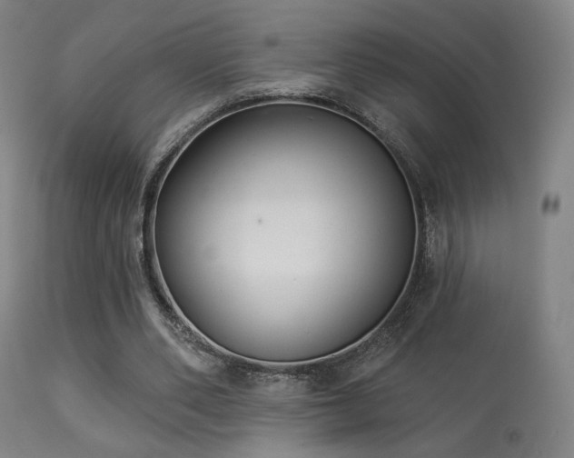 X0000113280486200909211043