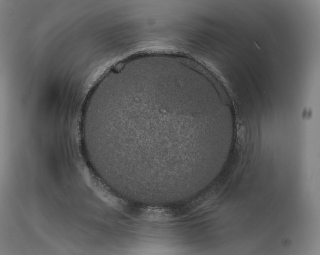 X0000113280487200909211043